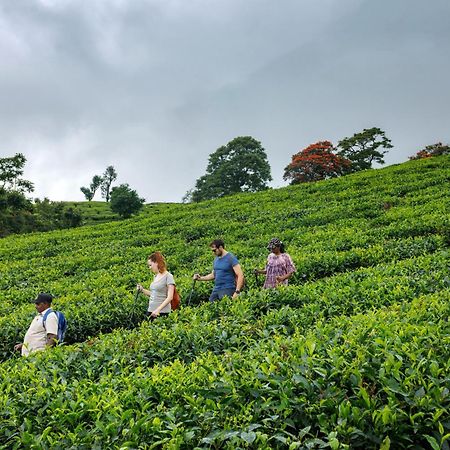 Amber Dale Luxury Hotel & Spa, Munnar Extérieur photo