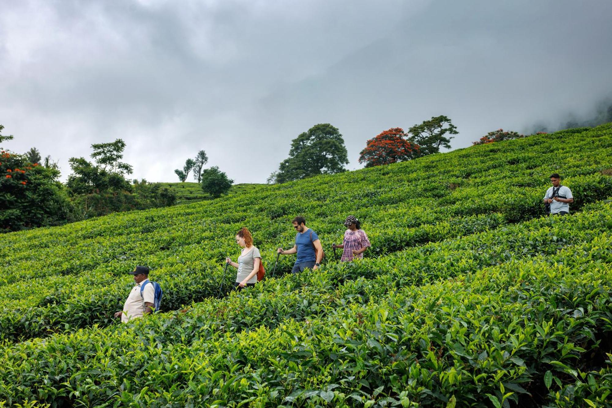 Amber Dale Luxury Hotel & Spa, Munnar Extérieur photo