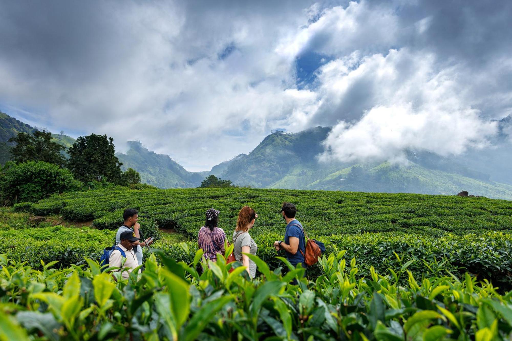 Amber Dale Luxury Hotel & Spa, Munnar Extérieur photo