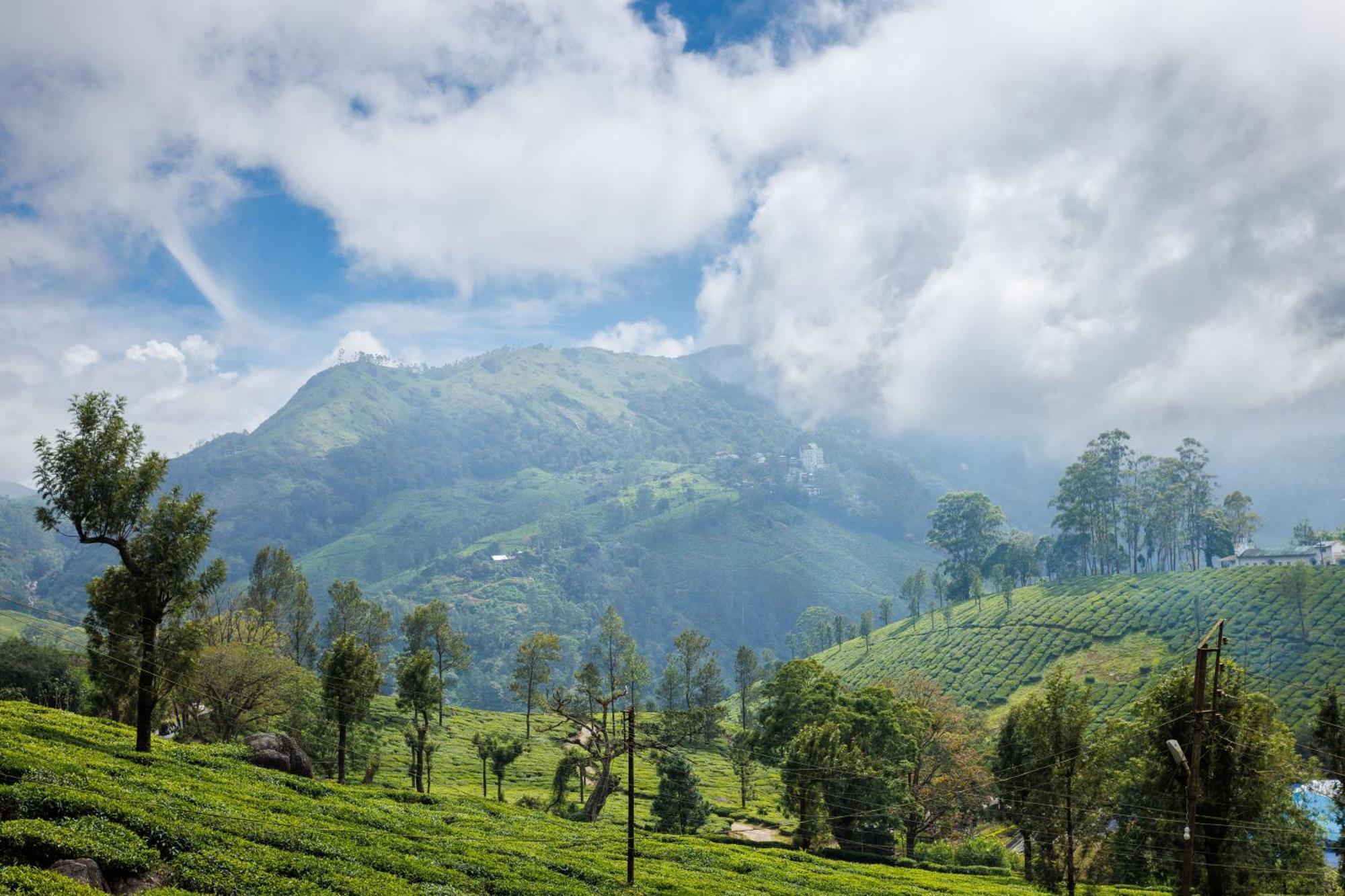 Amber Dale Luxury Hotel & Spa, Munnar Extérieur photo