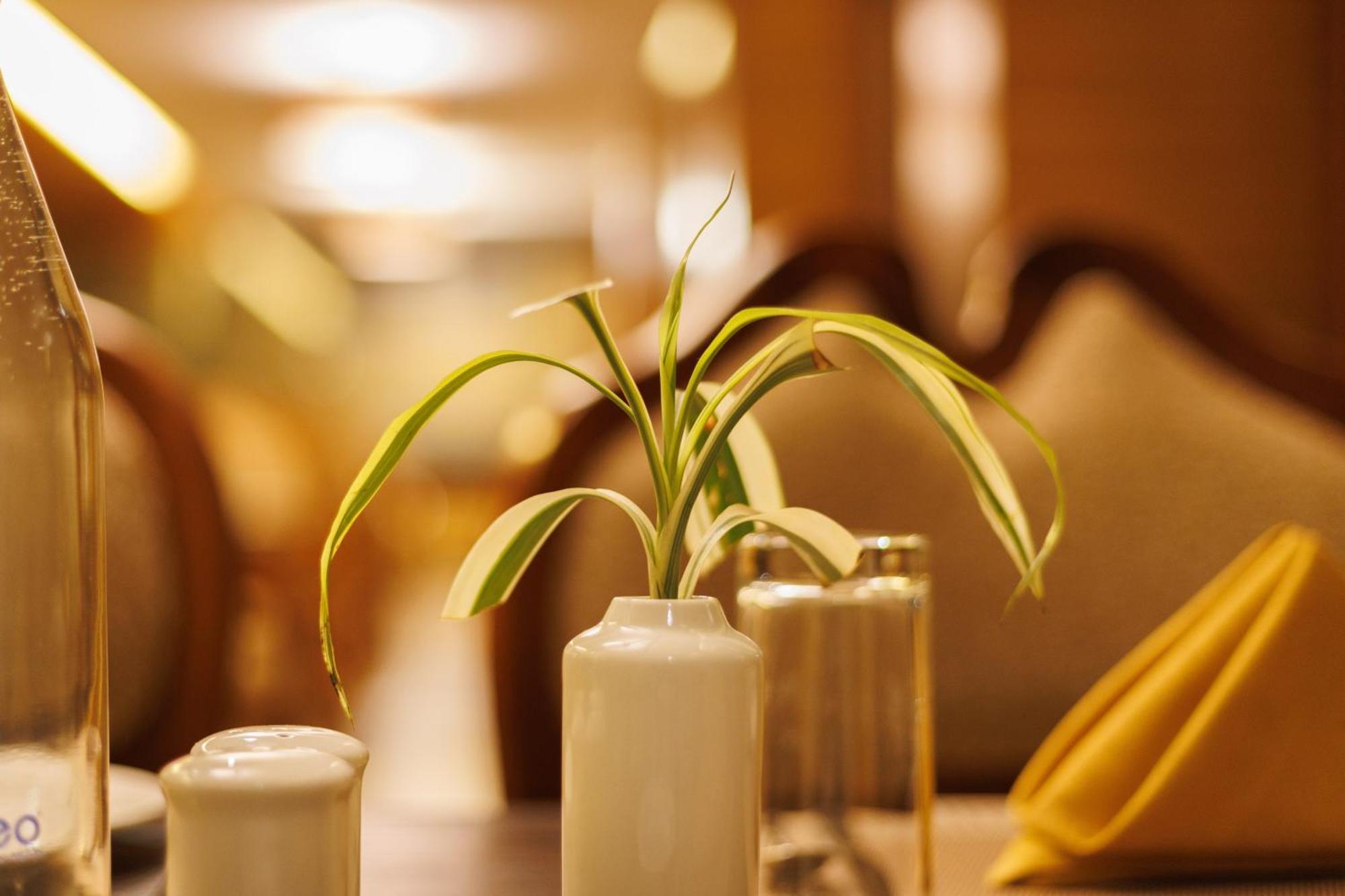 Amber Dale Luxury Hotel & Spa, Munnar Extérieur photo