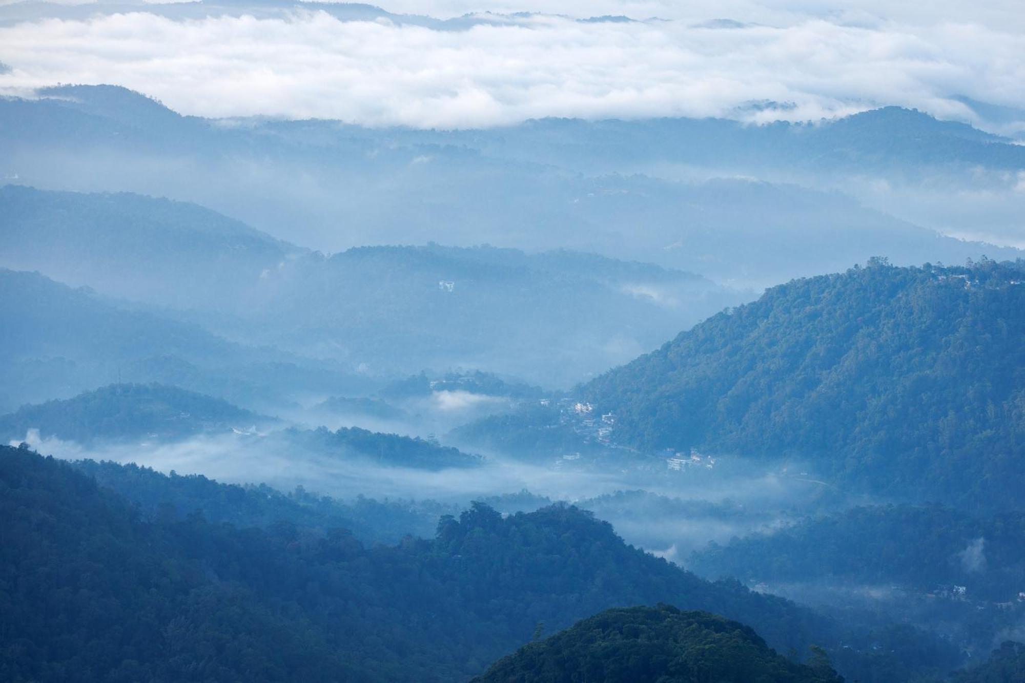 Amber Dale Luxury Hotel & Spa, Munnar Extérieur photo